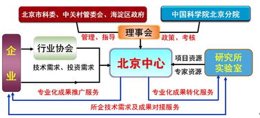 技術(shù)之芯，服務(wù)之橋 北京網(wǎng)絡(luò)技術(shù)服務(wù)發(fā)展縱橫