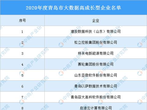 2020年度青島市大數(shù)據(jù)高成長型企業(yè)名單發(fā)布，數(shù)據(jù)處理與存儲(chǔ)服務(wù)引領(lǐng)行業(yè)風(fēng)向